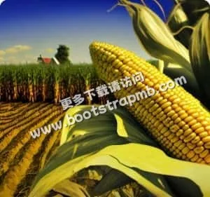 专注打造安全可靠的体育电竞平台 - 宝威体育